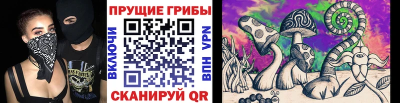 Псилоцибиновые грибы Cubensis  Купить  Сафоново 